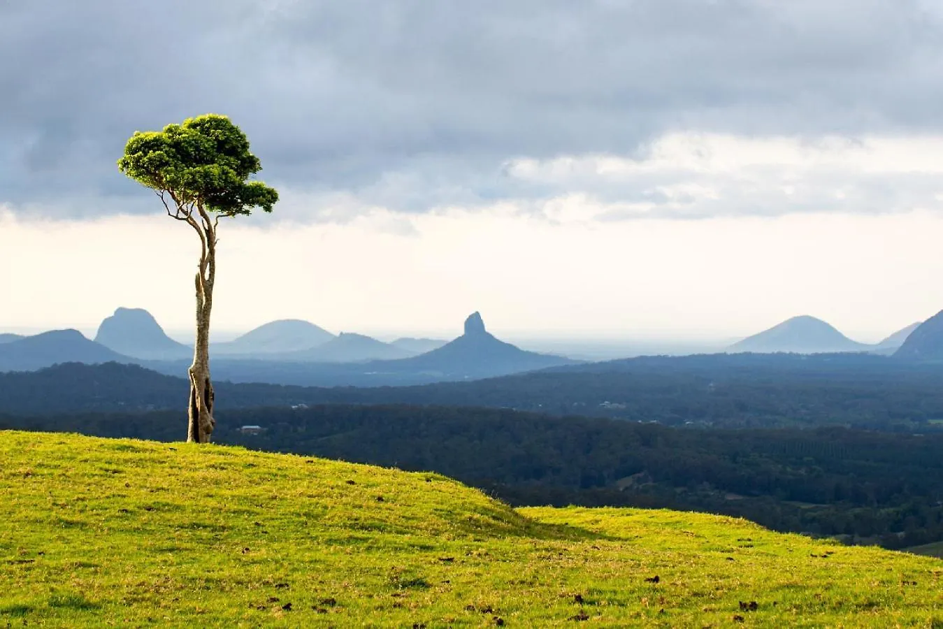 The Breezy Maple - Hinterland And Range Views In Mapleton Villa 0*,  Australien